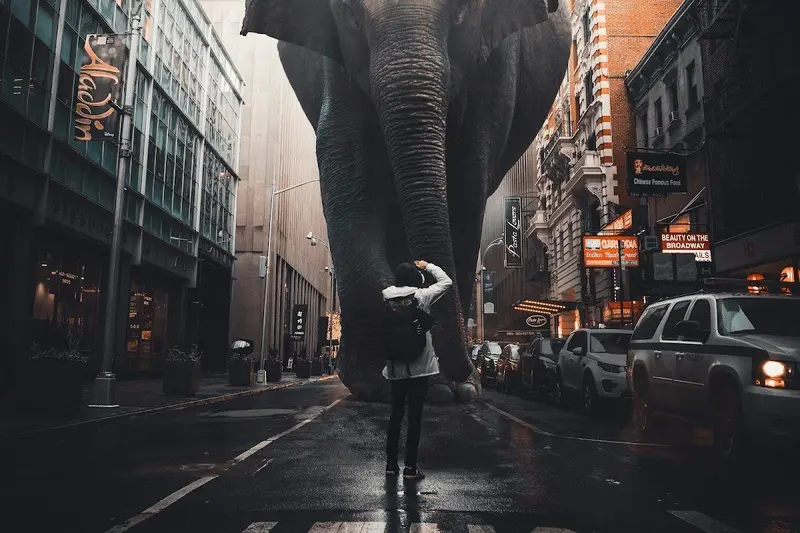 Elephant Strolling Through City Streets 1