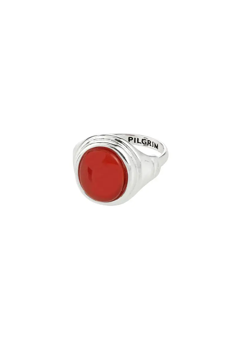 Lyndon Agate Ring – Pilgrim Natural Stone Statement Ring 1