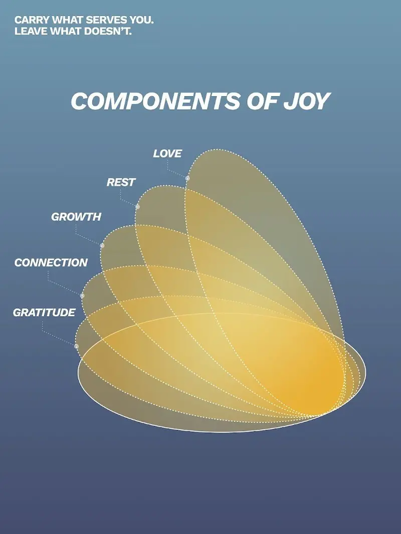 The Anatomy Of Joy 1